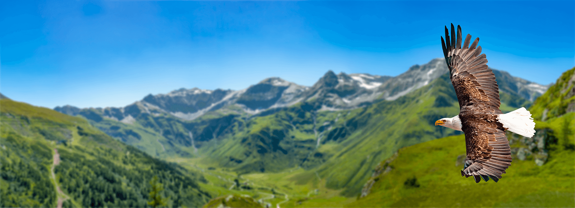 Background image for 